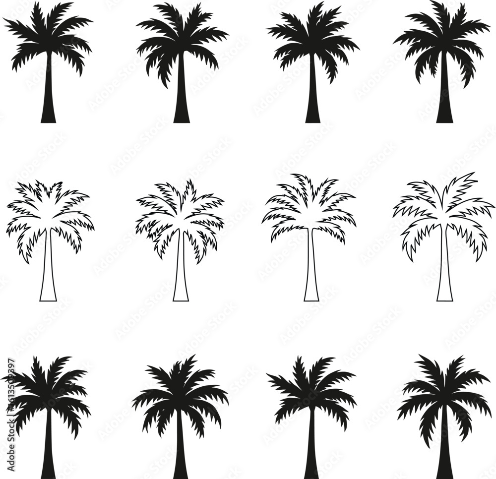 Obraz premium Silhouetted Palm of Trees Collection 