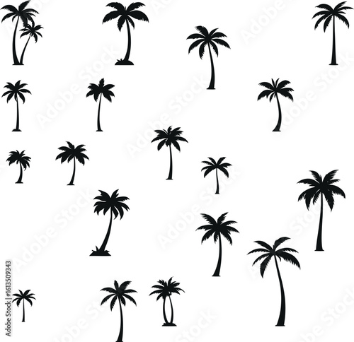 Silhouetted Palm of Trees Collection 