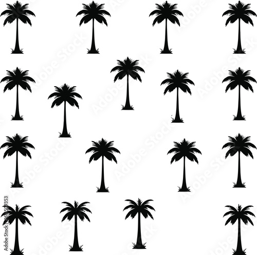 Silhouetted Palm of Trees Collection 
