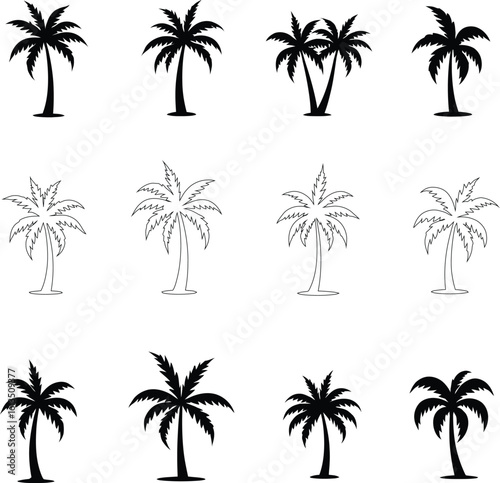 Silhouetted Palm of Trees Collection 