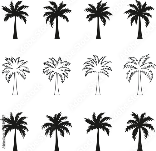 Silhouetted Palm of Trees Collection 