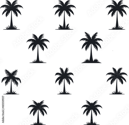 Silhouetted Palm of Trees Collection 