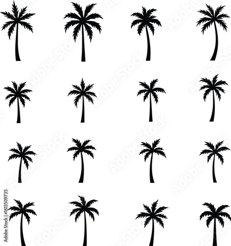 Silhouetted Palm of Trees Collection 