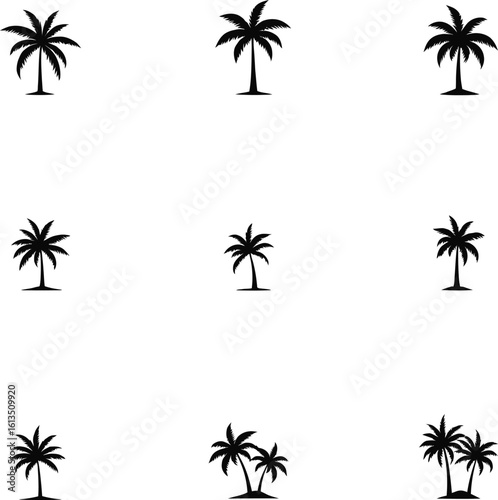 Silhouetted Palm of Trees Collection 