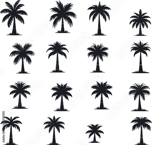 Silhouetted Palm of Trees Collection 