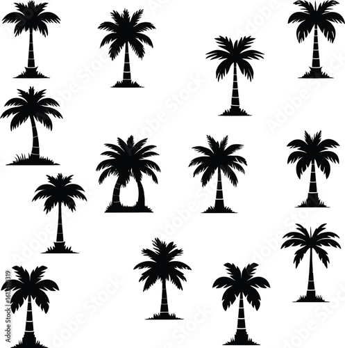 Silhouetted Palm of Trees Collection 