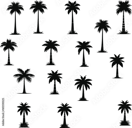 Silhouetted Palm of Trees Collection 