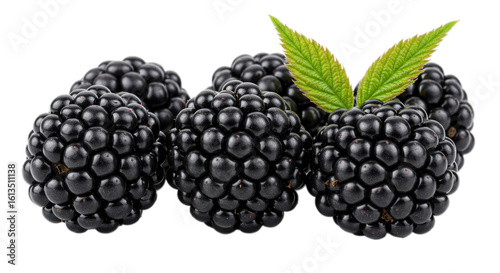 Pile of blackberries with a leaf isolated on transparent background
