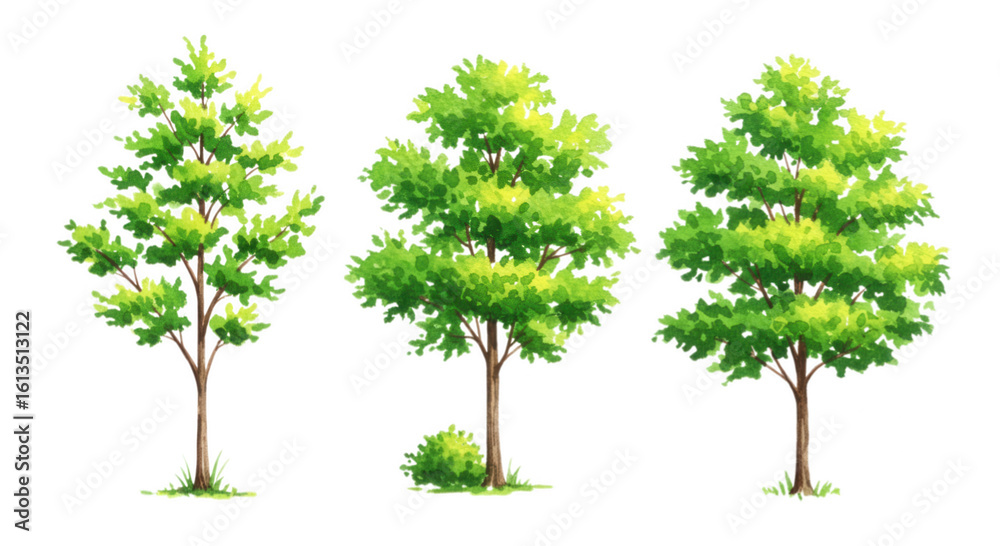 Obraz premium Three cartoon trees with green leaves isolated on transparent background