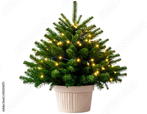 Tiny Potted Christmas Tree with Twinkling Fairy Lights, Close-Up, Isolated PNG