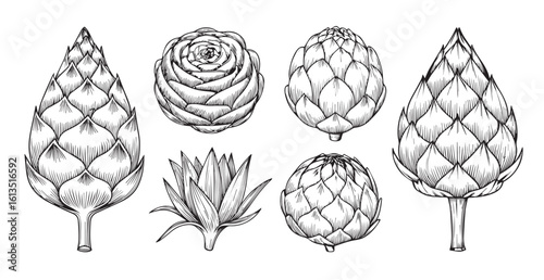 Collection of hand drawn artichoke silhouettes in sketch style
