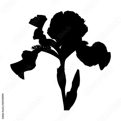 ink drops artistic silhouette