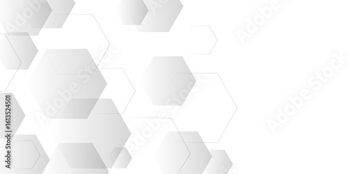 white and grey technology hexagonal abstract background Abstract 3d hexagonal background with shadow .Futuristic blue neon honeycombs. Modern technology design .Minimal style website banner, 