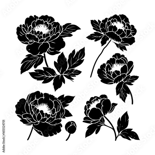 peony flower silhouette vector icons