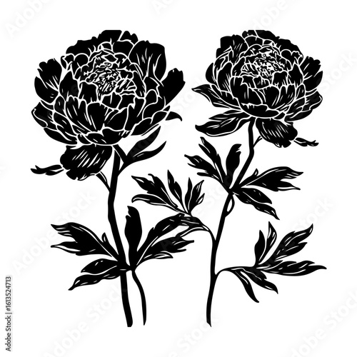peony flower silhouette clipart pack