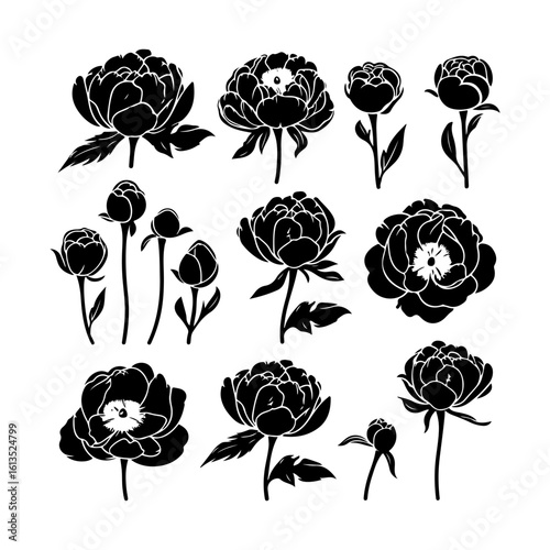 peony flower silhouette flat graphic