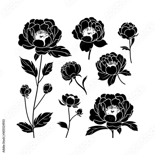 peony flower silhouette flat graphic design