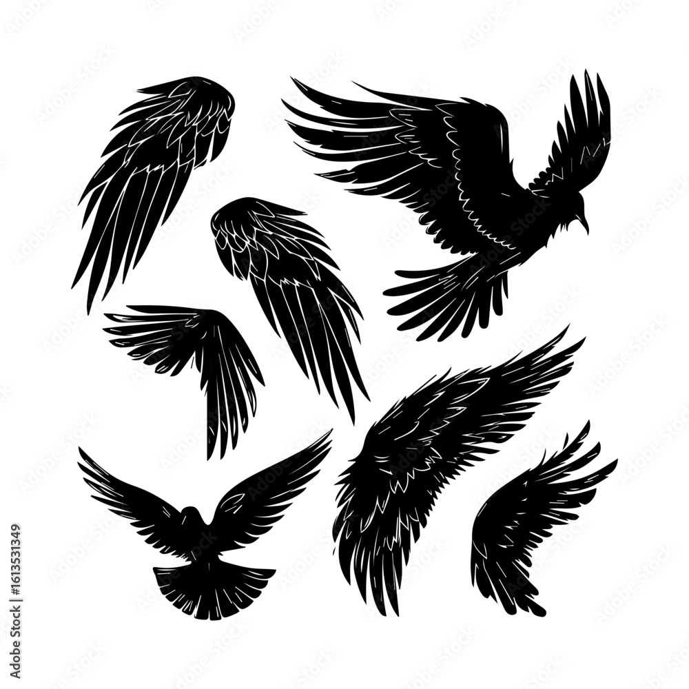 Obraz premium Wings Silhouettes Artistic Vector Graphics