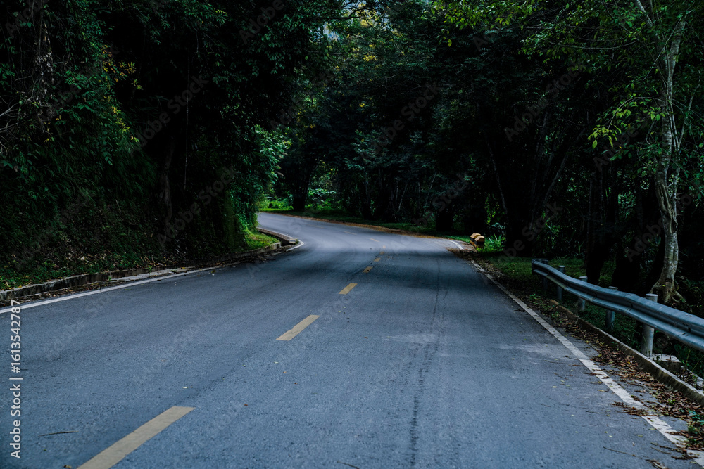 Fototapeta premium Curved forest road surrounded by dense green trees in a tranquil natural landscape