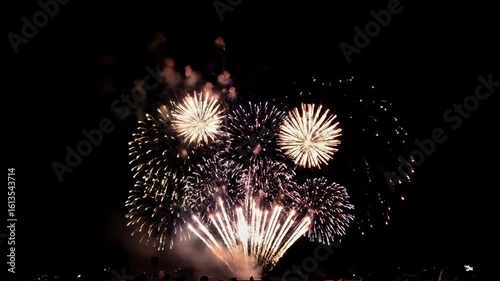Vibrant Golden and White Fireworks Bursting in a Dark Night Sky with Silhouetted Crowd Below Celebrating a, fireworks, celebration, night, sky, explosion, pyrotechnics, display, festive, event, dark, 