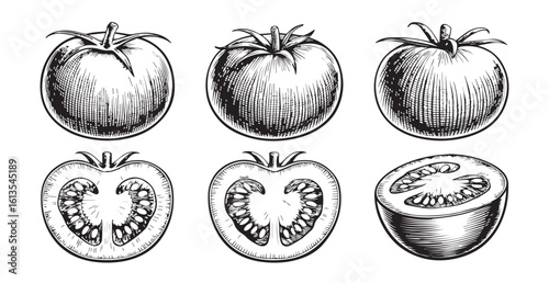 Vintage engraving style illustration of tomatoes whole and halved silhouette