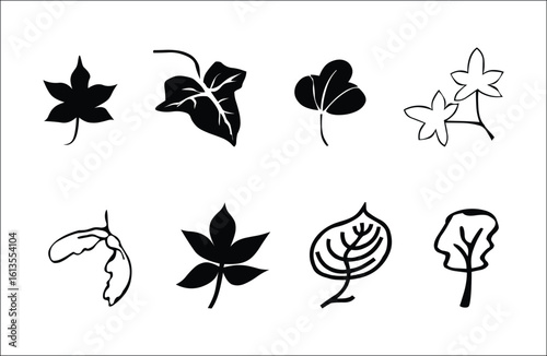 Leafy Botanical Illustrations A collection of intricately detailed, monochromatic leaf illustrations, each representing different botanical varieties, is presented against a clean.