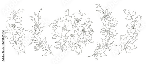 Hand drawn floral compositions in line art style. Elegant frame of flowers, stems and leaves. Trendy botanical elements. Vector illustration for logo or tattoo, save the date card, wedding invitation