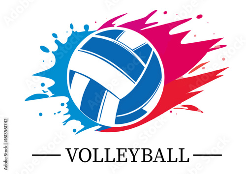 Volleyball logo
