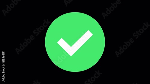Animated check mark symbol showing approval or success. Clean green tick animation with alpha background. Perfect for UI feedback or explainer video overlays.