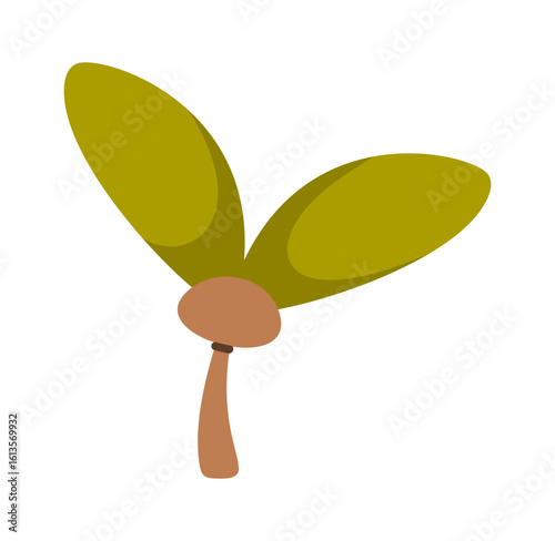 Maple helicopter tree seed design