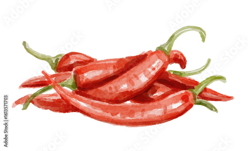 Watercolor red chili isolated on white background