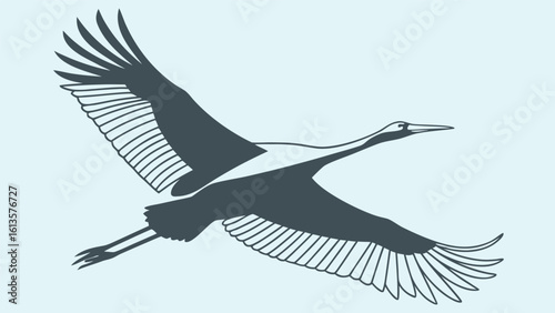 Graceful Bird Soaring Through Clear Skies with Outstretched Wings