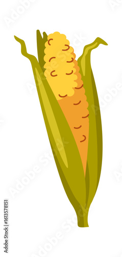 Corncob vegetable autumn harvest design