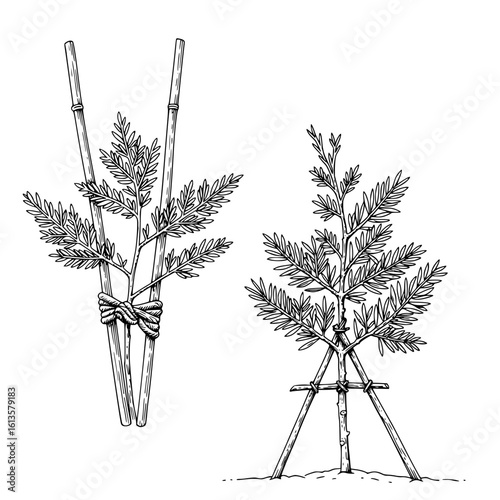 Vector isolated mini-set of garden plant support frames with leaves and twine accents  