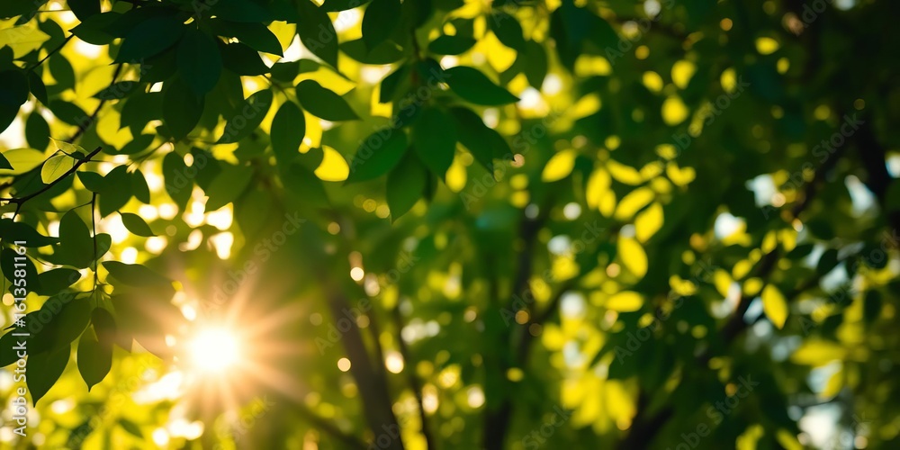 Obraz premium Golden sunlight dappled through lush green leaves, creating soft bokeh, green, ecology
