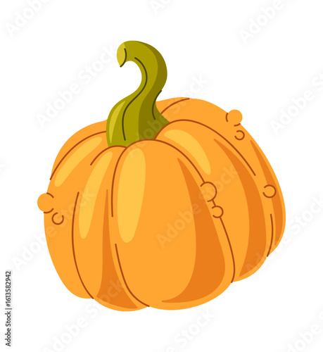 Pumpkin autumn vegetable design element