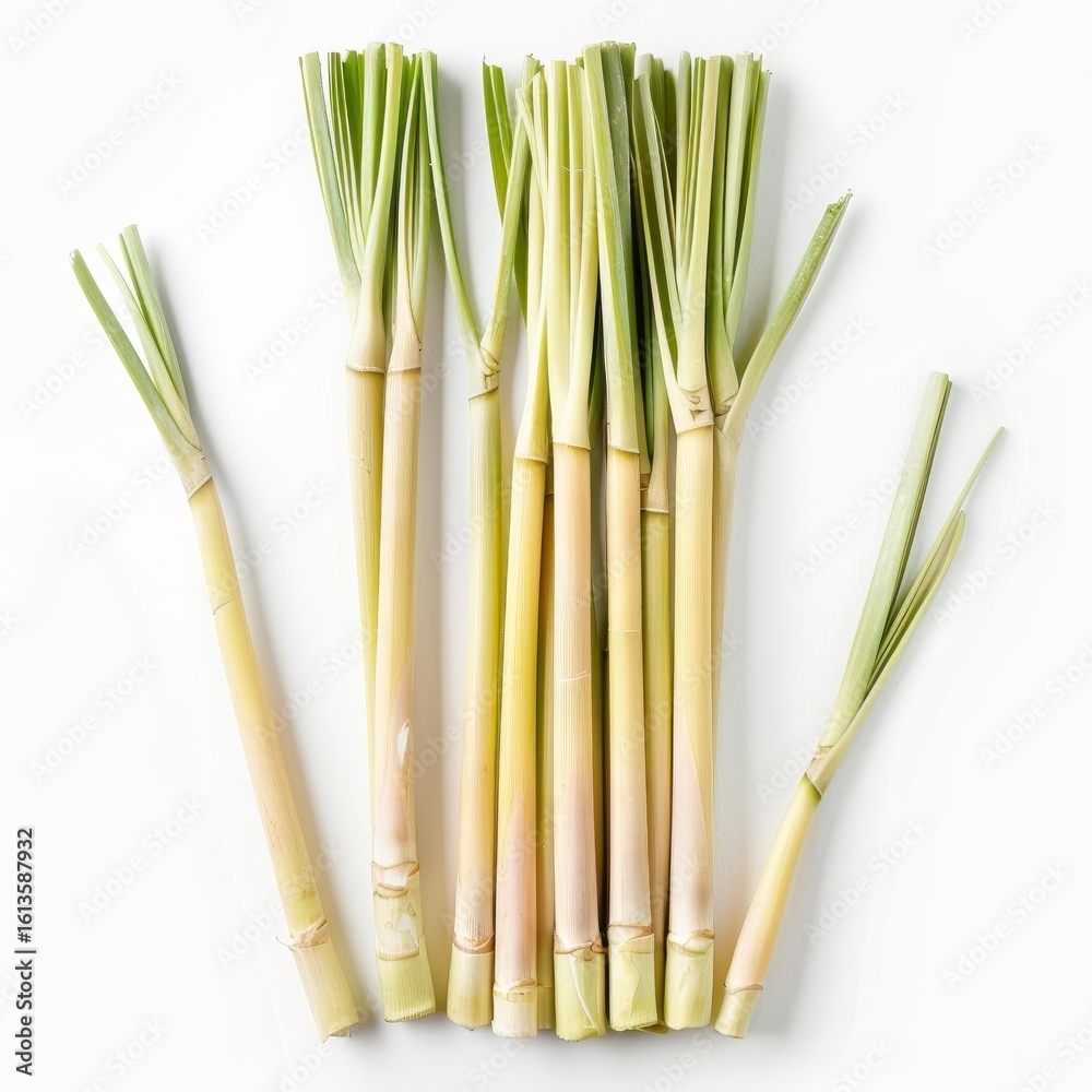 Fototapeta premium Fresh lemongrass stalks arranged on a white background, creating a visually appealing pattern with their vibrant green and pale yellow hues