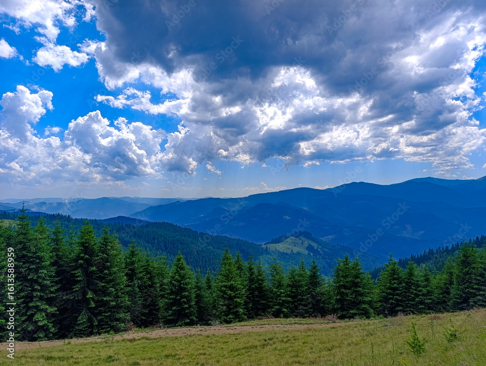 Fototapeta premium A grassy field with trees and mountains in the background