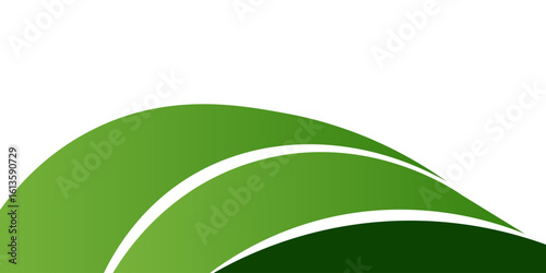 Abstract green curved banner background. vector illustration.