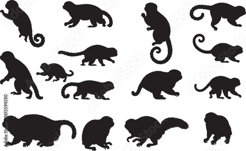 Foto Pygmy Marmoset Solid Vector Silhouette