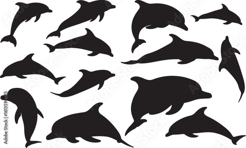 Risso's Dolphin Solid Vector Silhouette