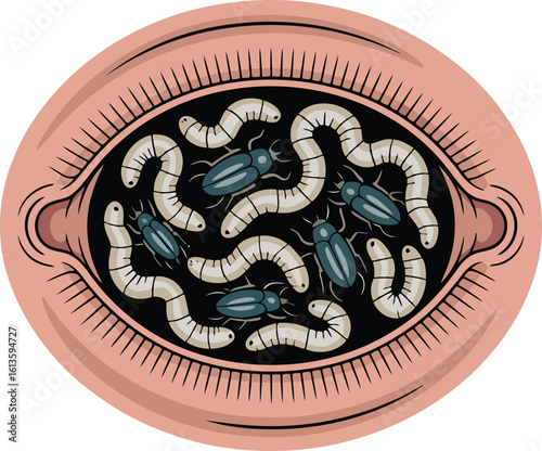 Eye Shaped Dish Filled with Maggots and Beetles on Transparent Background Vector