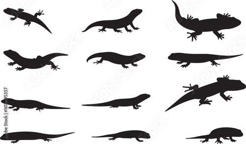 Wallpaper Mural Skink Solid Vector Silhouette Torontodigital.ca