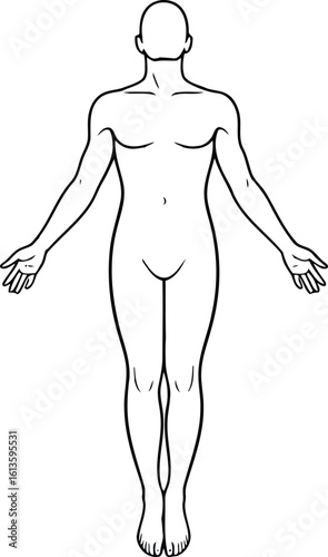 Human Body Outline Vector Illustration for Anatomy and Design Projects