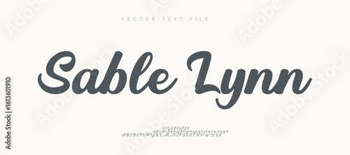 Elegant Signature Modern Handwritten Script Typeface. Luxury signature Font Calligraphy Logotype Script elegant Font Type lettering handwritten Font.vector illustration 

