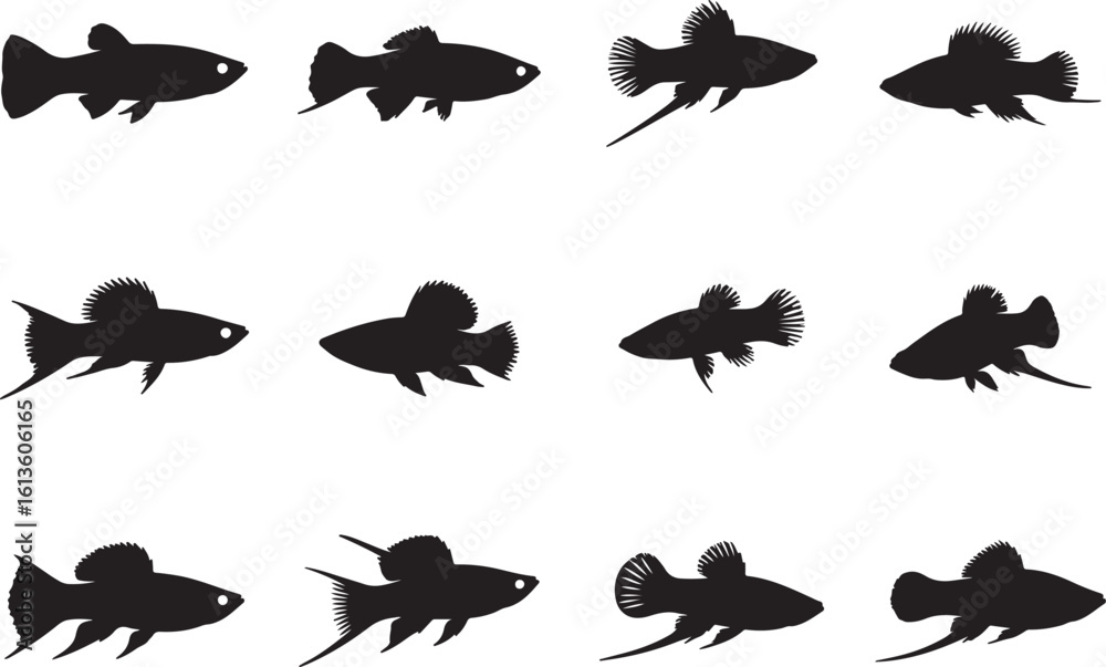 Fototapeta premium Swordtail Solid Vector Silhouette
