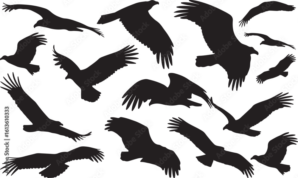 Obraz premium Turkey Vulture Solid Vector Silhouette