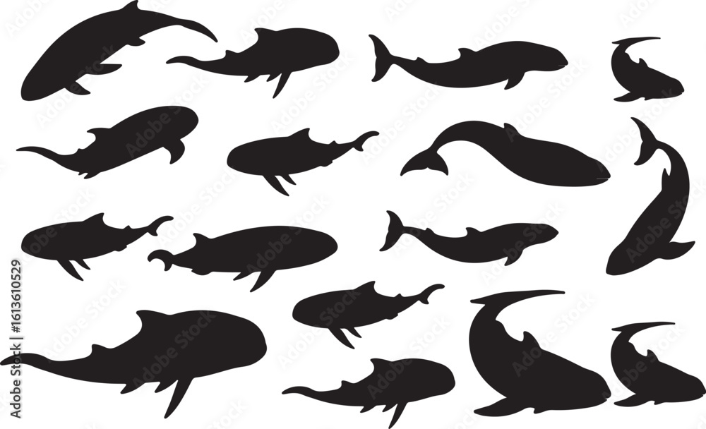 Fototapeta premium Vaquita Solid Vector Silhouette