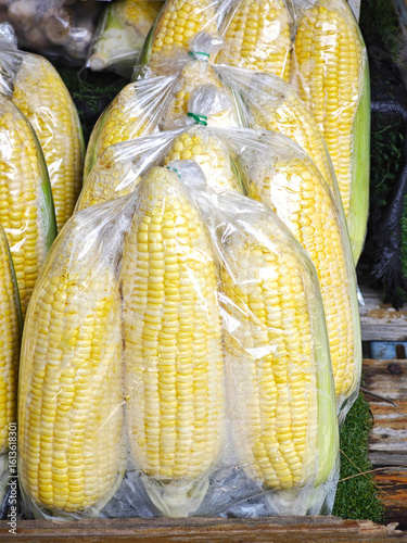 fresh sweet corn in plastic bag
