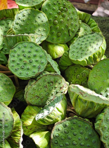 fresh lotus seed on the market